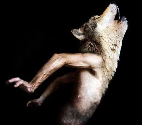 francesco-sambo-bestiario-a-wolf-man-howling-surreal-photomanipulations-beasts-animals-photoshop-art-design